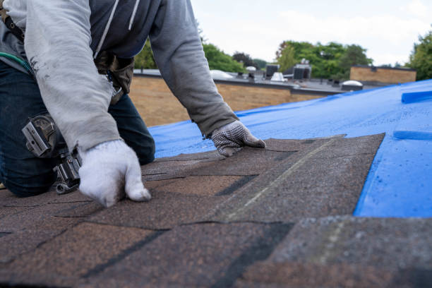 Best Roof Gutter Cleaning  in Mineville, NY
